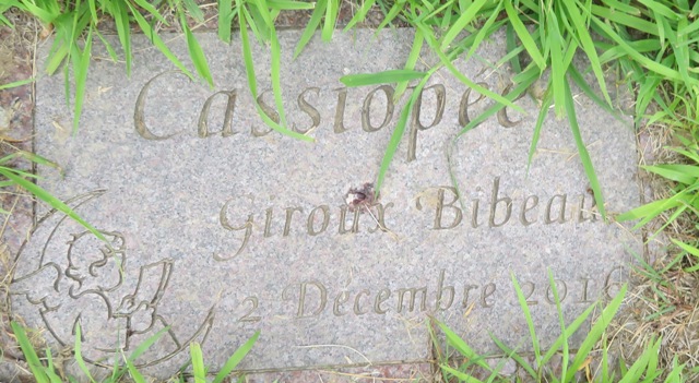 plaques/lot535_4.jpg