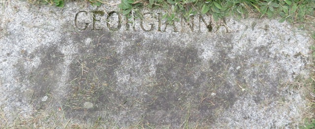 plaques/lot540_3.jpg