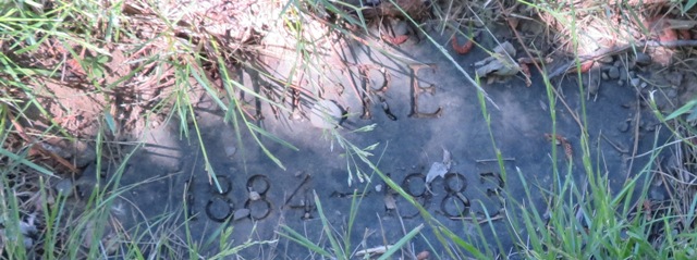plaques/lot583_3.jpg